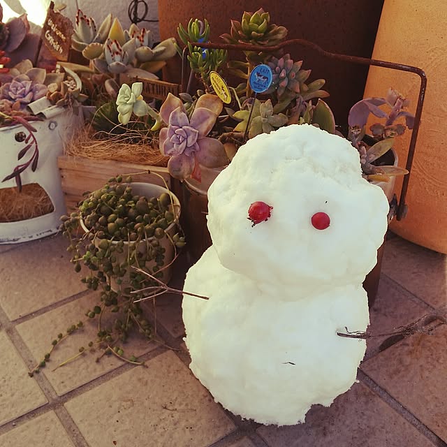 mmmさんの実例写真