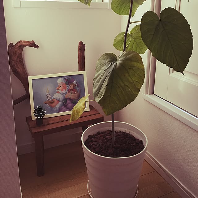 dmamaさんの実例写真
