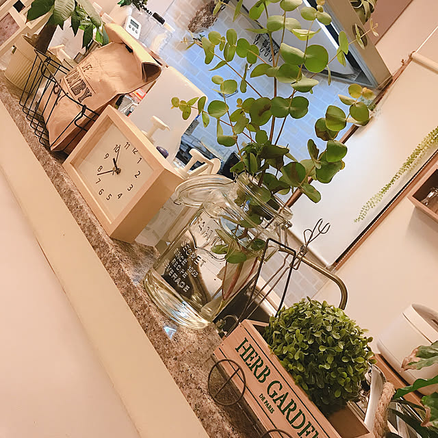 ユーカリ/ニトリ/観葉植物/無印良品/キッチンのインテリア実例 - 2020-09-07 21:39:51