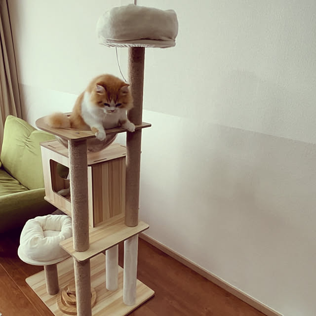 junさんの部屋