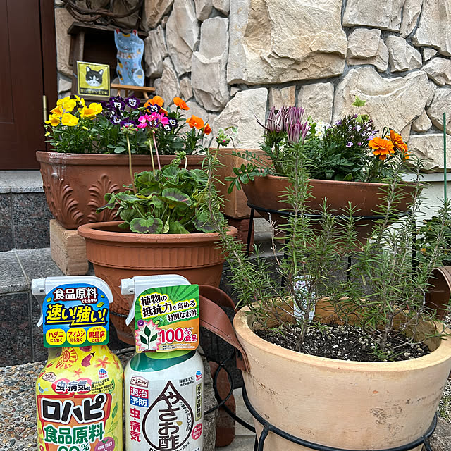 haruさんの実例写真