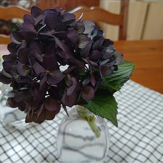 marronさんの部屋