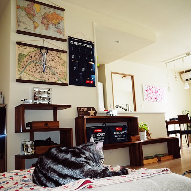 y.k.0123さんの実例写真
