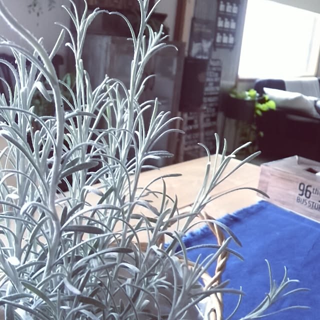 kさんの実例写真