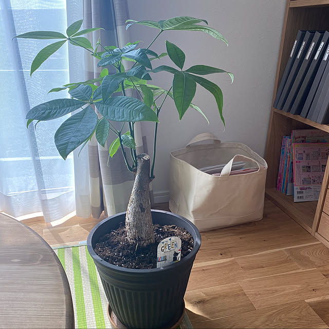 tomoさんの実例写真