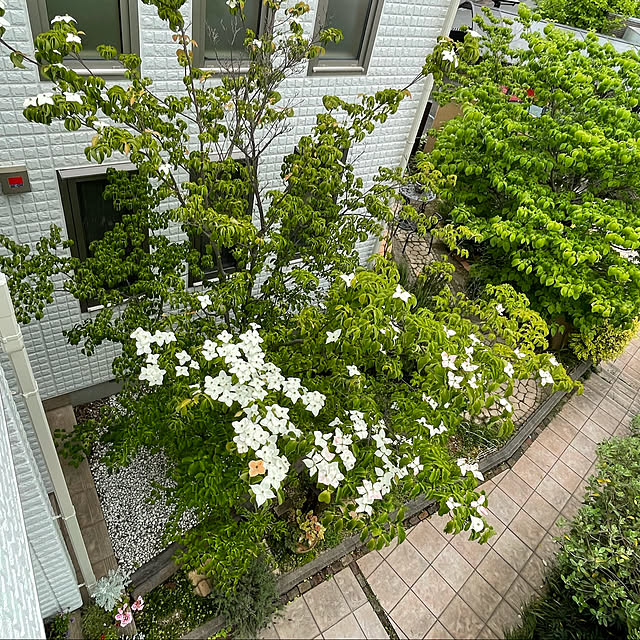 kuikoさんの実例写真