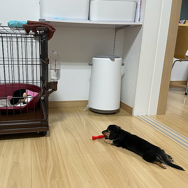 TOMOさんの実例写真