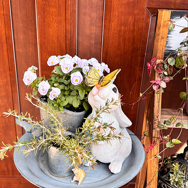 sry756さんの部屋