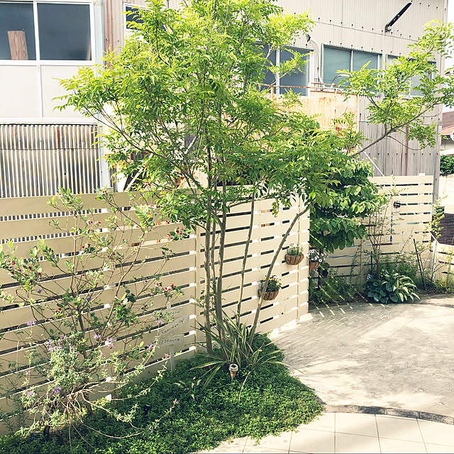 fuwalilyさんの実例写真