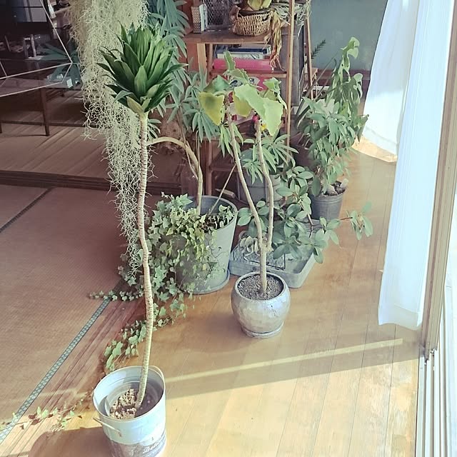 takenさんの実例写真
