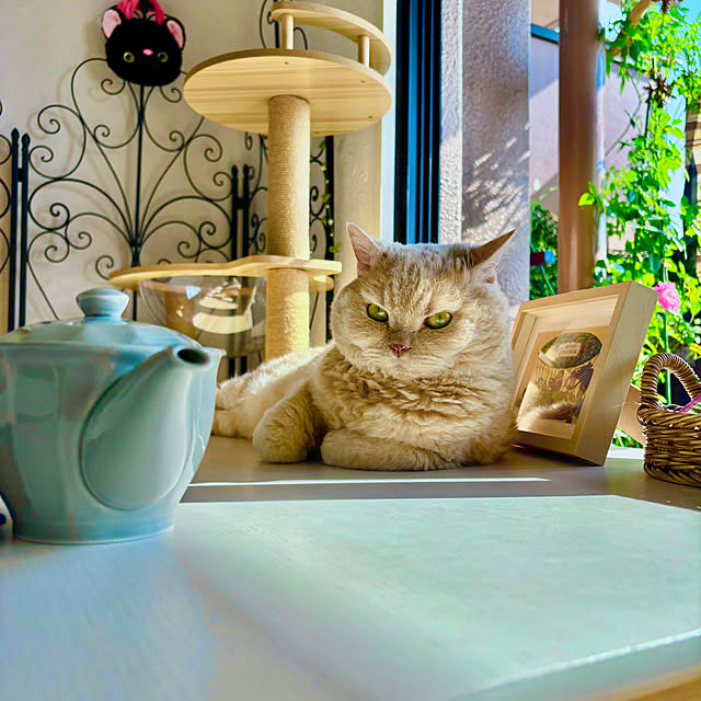 naokoさんの部屋