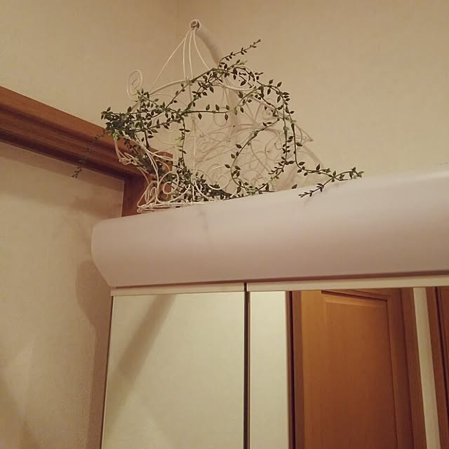 Yumikoさんの実例写真