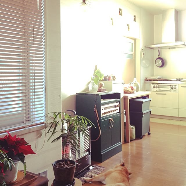 botanさんの実例写真