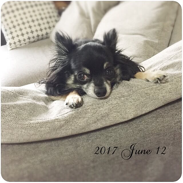 mockさんの実例写真