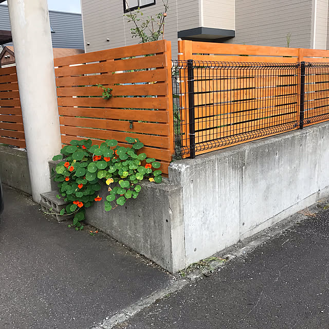 mittuさんの実例写真