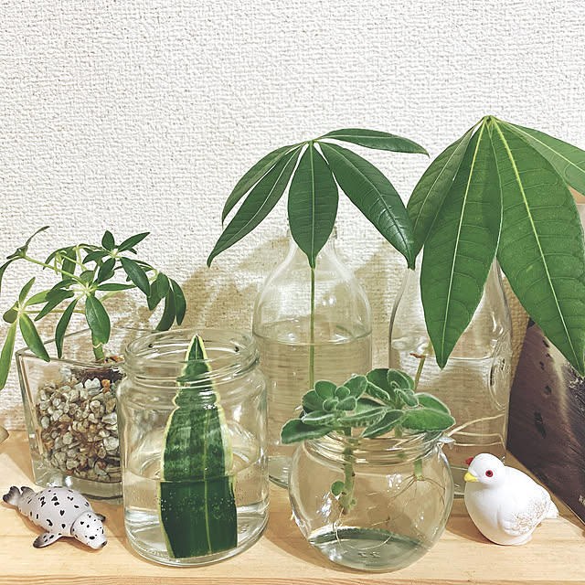 madogiwa_no_さんの実例写真
