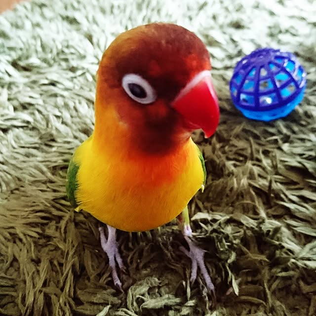 s.p.sunaoさんの実例写真