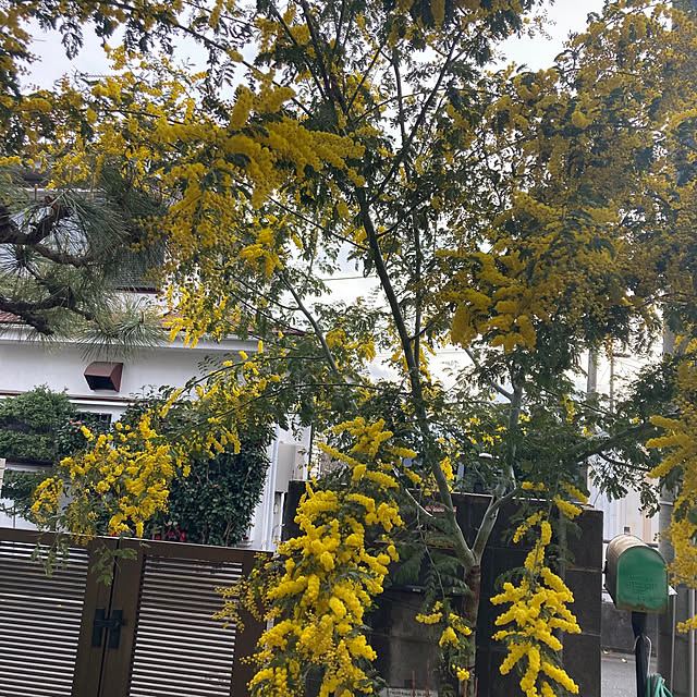 mamaさんの実例写真