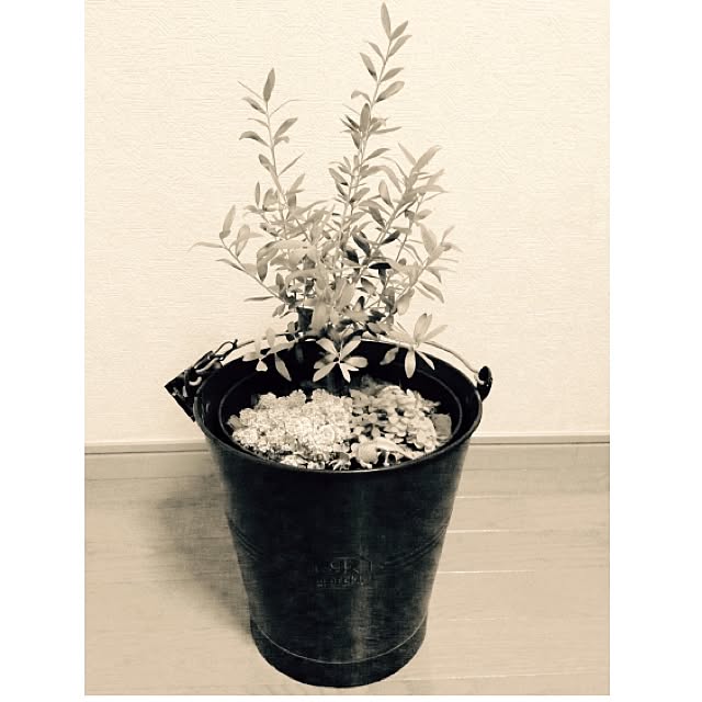 takaya.iさんの実例写真