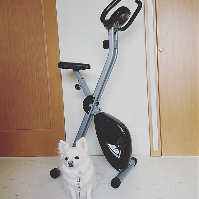 shokoさんの実例写真
