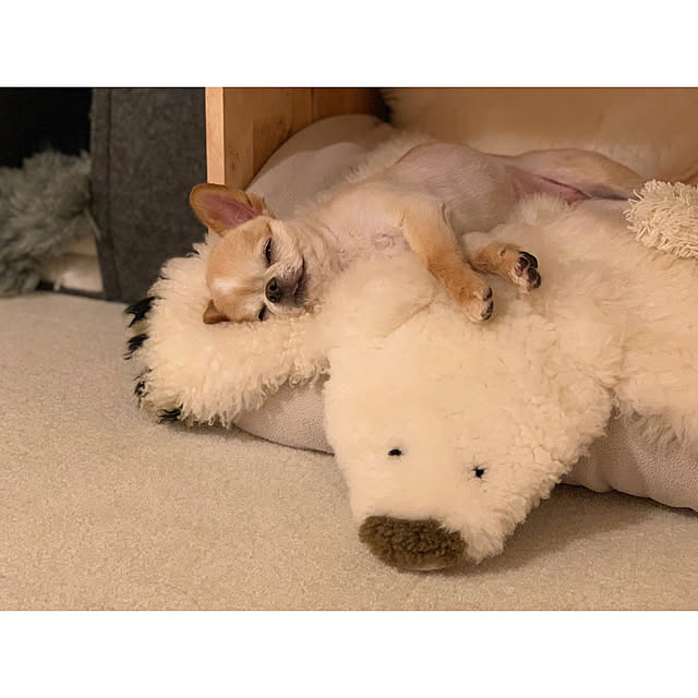 haruhinaさんの実例写真