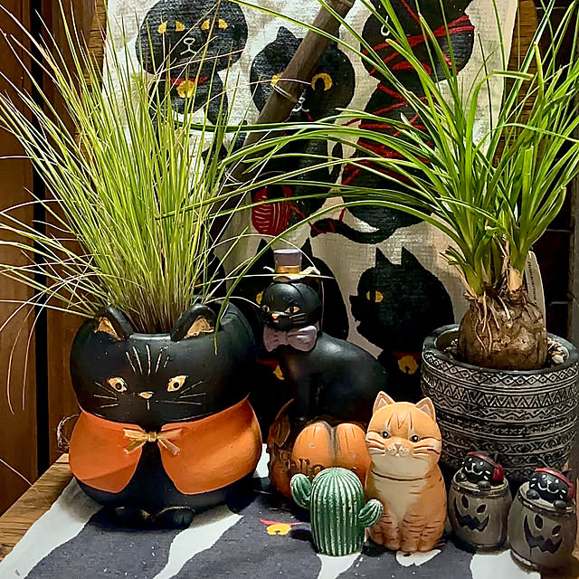 butachanさんの実例写真
