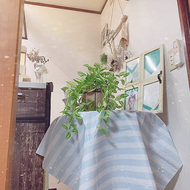 shoさんの実例写真