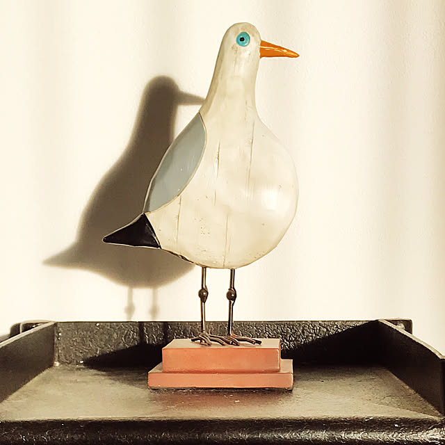 japitonさんの実例写真