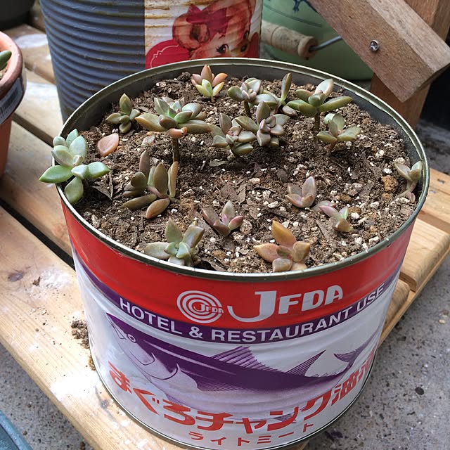 mayuyuさんの実例写真