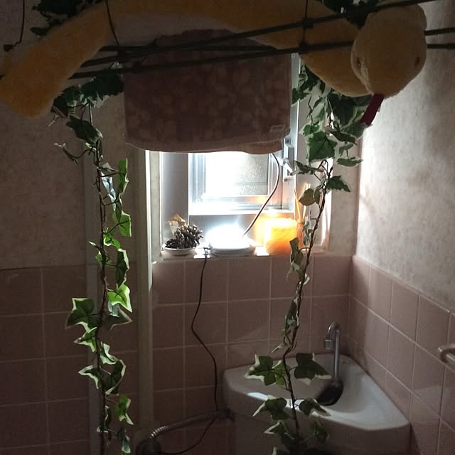 madmanさんの実例写真
