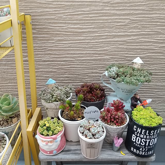 meiさんの実例写真