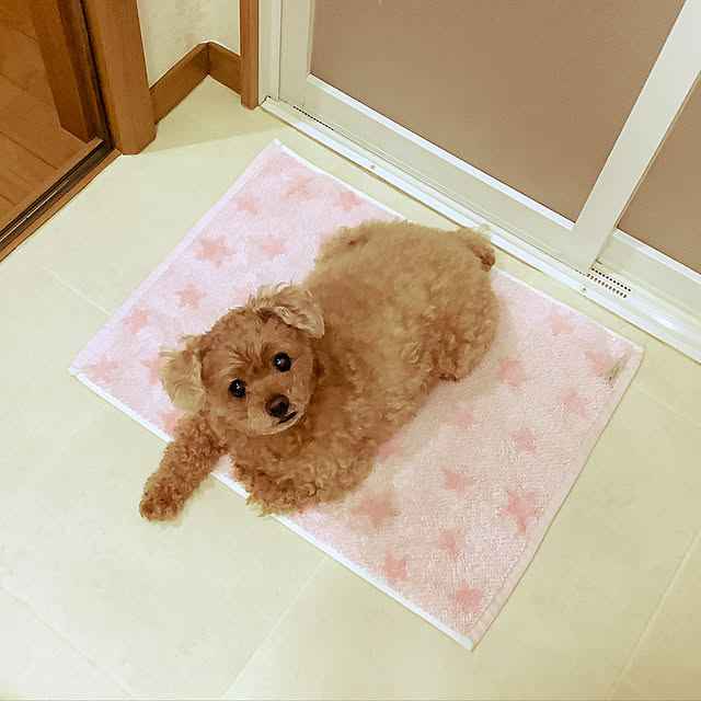 haruminさんの実例写真