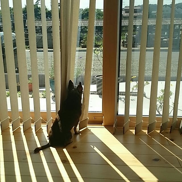 kinmochi0701さんの実例写真