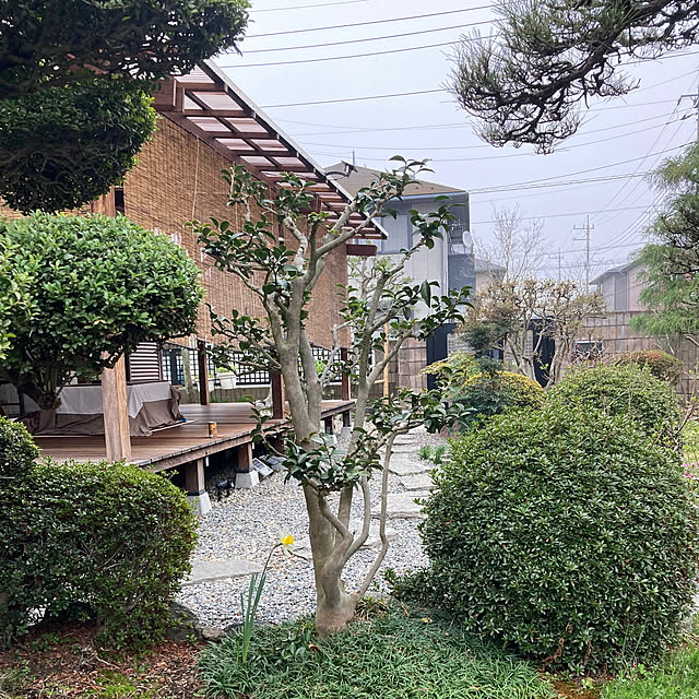 takapinさんの実例写真