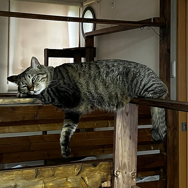 mikan161さんの部屋