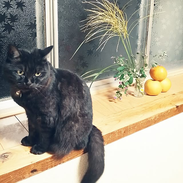 hana.1321jpさんの実例写真