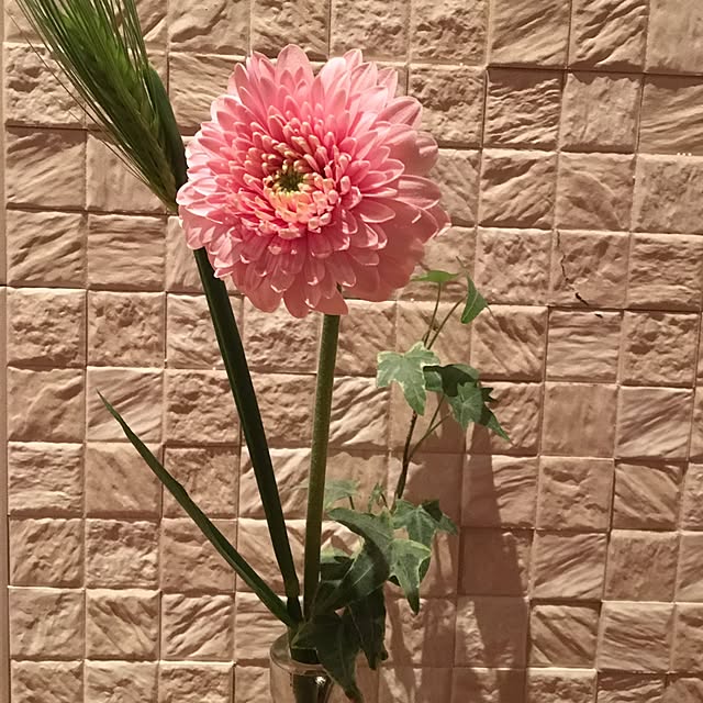tokotokoさんの実例写真