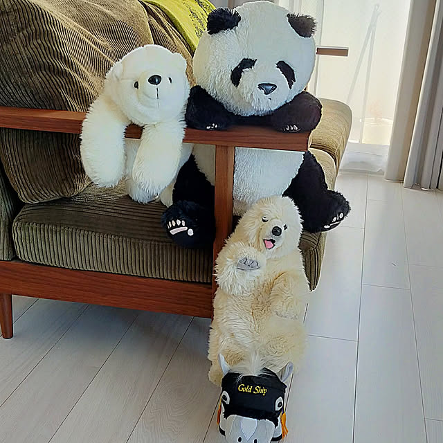 sinsinさんの実例写真