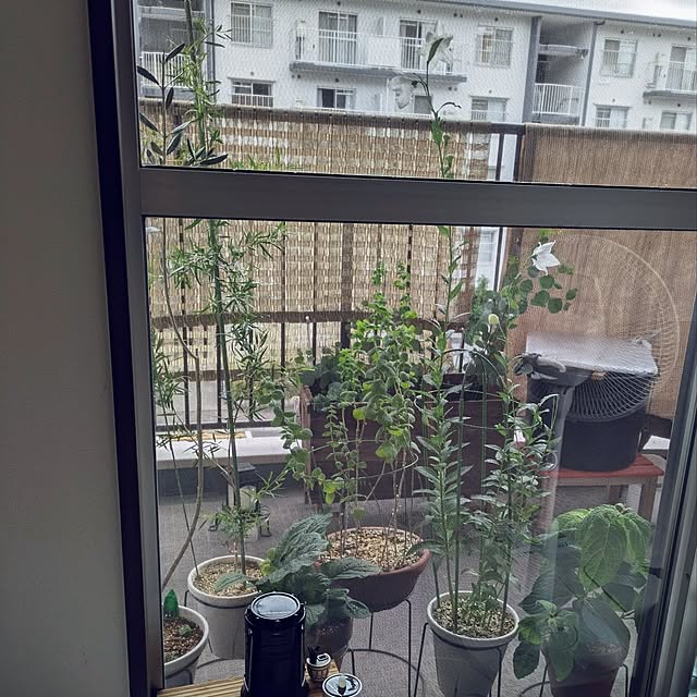 mi-saさんの部屋