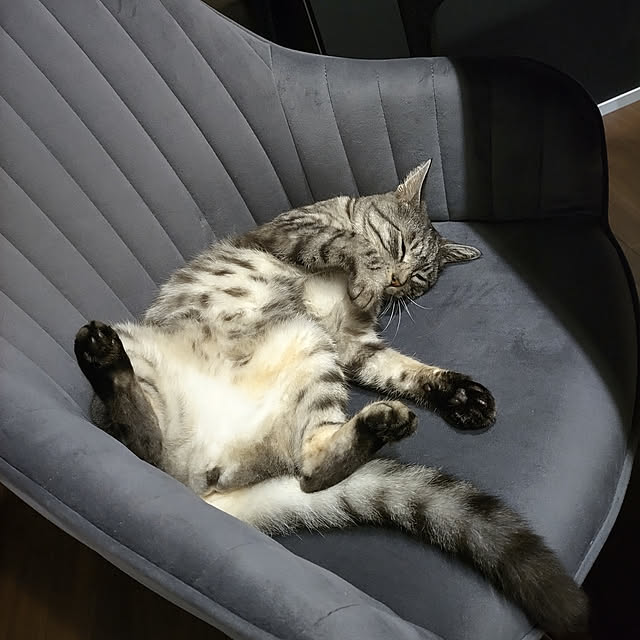 dsimbaさんの実例写真