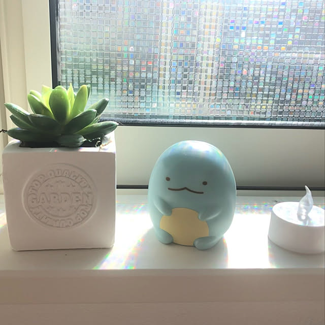 suiさんの実例写真