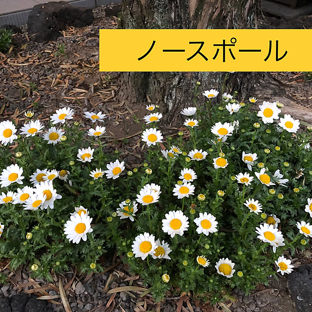 tkin5432さんの実例写真