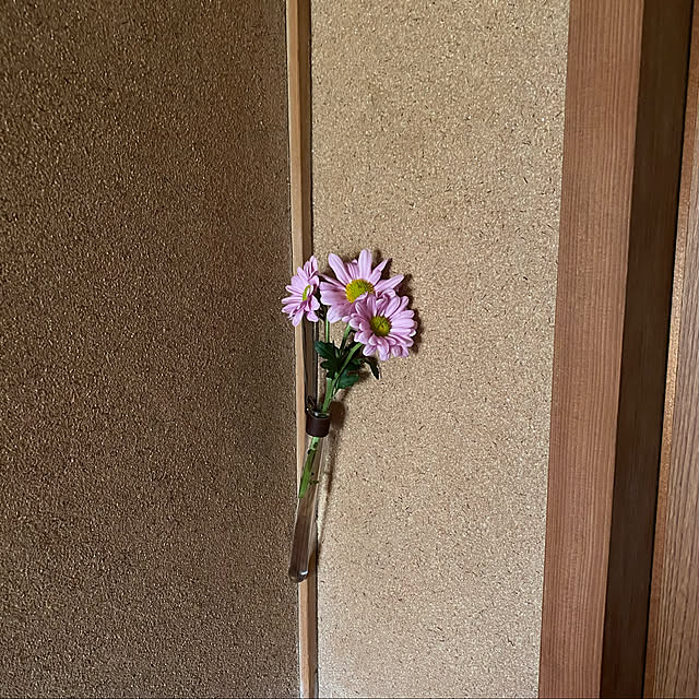 Alzさんの実例写真