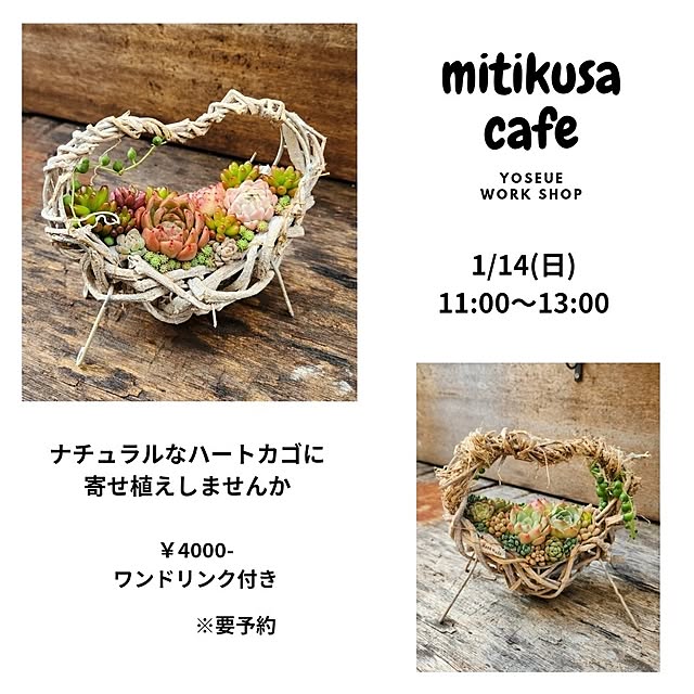 amtさんの実例写真