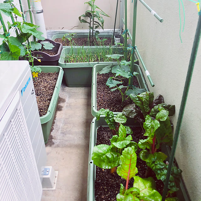 hanachanさんの部屋