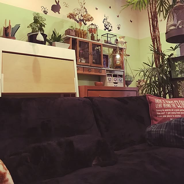 cloverさんの実例写真