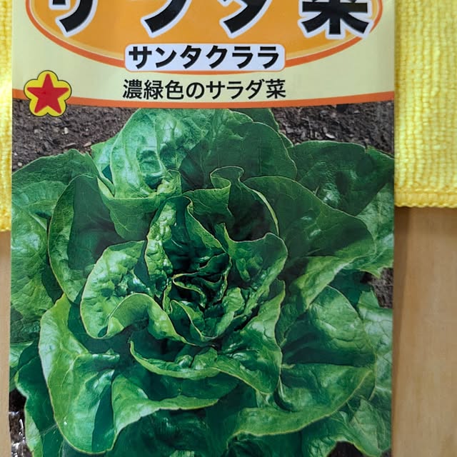 setsukoさんの部屋