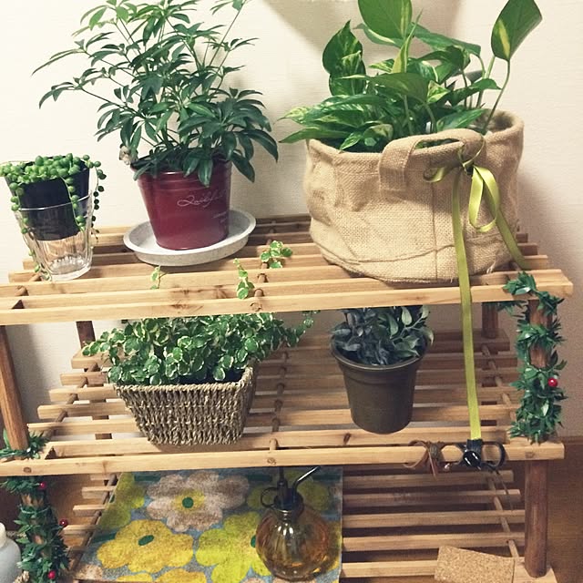 リビング/100均/賃貸/観葉植物/3COINS...などのインテリア実例 - 2015-06-02 21:22:33