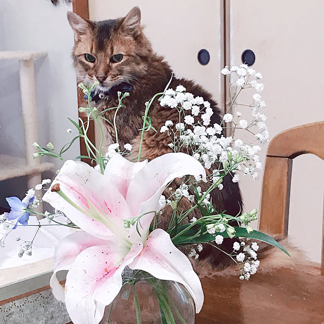 yukarinさんの実例写真