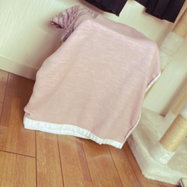 lippieさんの実例写真